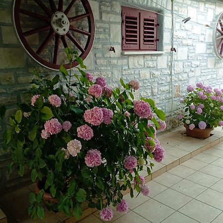 Apartman Sunce أوماغ المظهر الخارجي الصورة