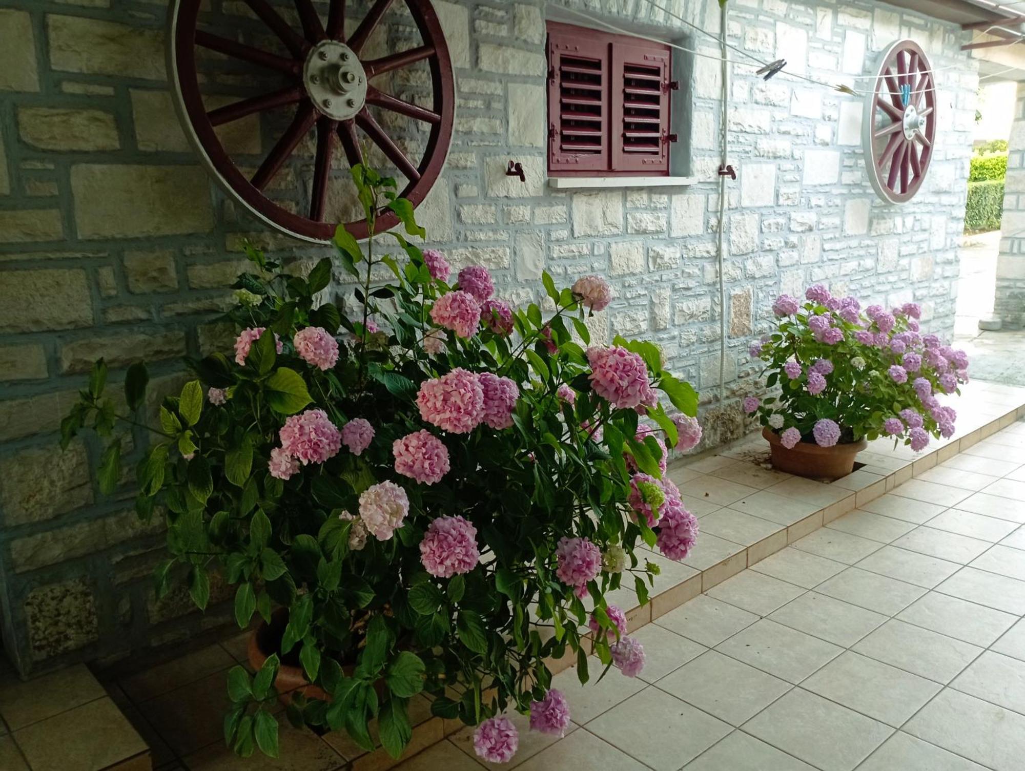 Apartman Sunce أوماغ المظهر الخارجي الصورة